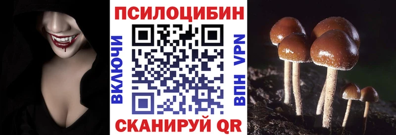где найти наркотики  это клад  Галлюциногенные грибы ЛСД  Хасавюрт 