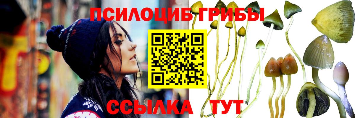 Псилоцибиновые грибы Psilocybe  Вход с VPN  Хасавюрт 