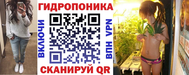 где купить наркоту Хасавюрт Каннабис SATIVA & INDICA