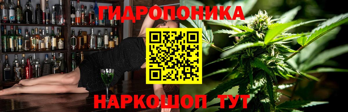 Бошки Шишки конопля  Шишки марихуана гибрид  Бошки Шишки сатива  Хасавюрт  МАРИХУАНА VHQ  Вход с VPN 